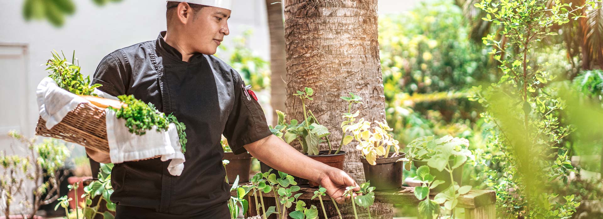 family suite in Cancun resort